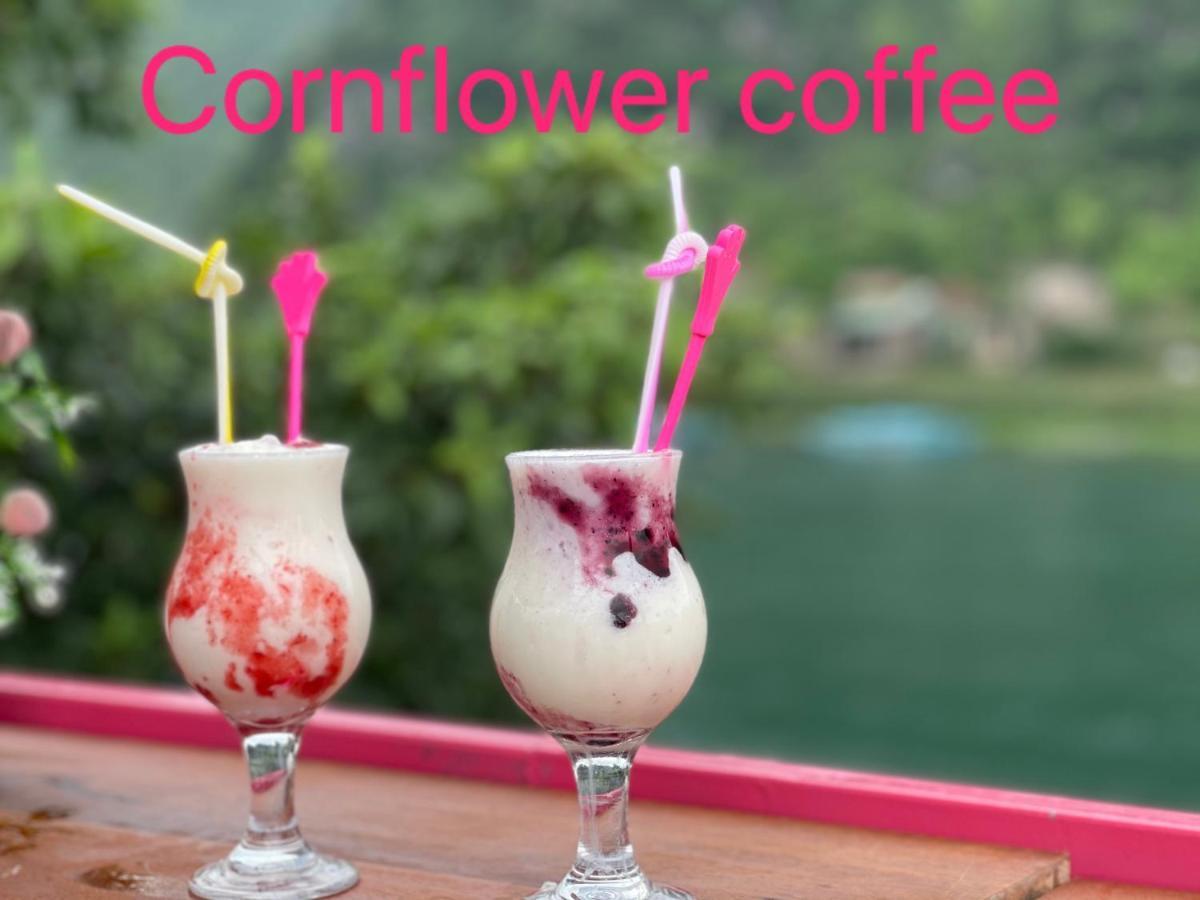 Cornflower Homestay Phong Nha Extérieur photo