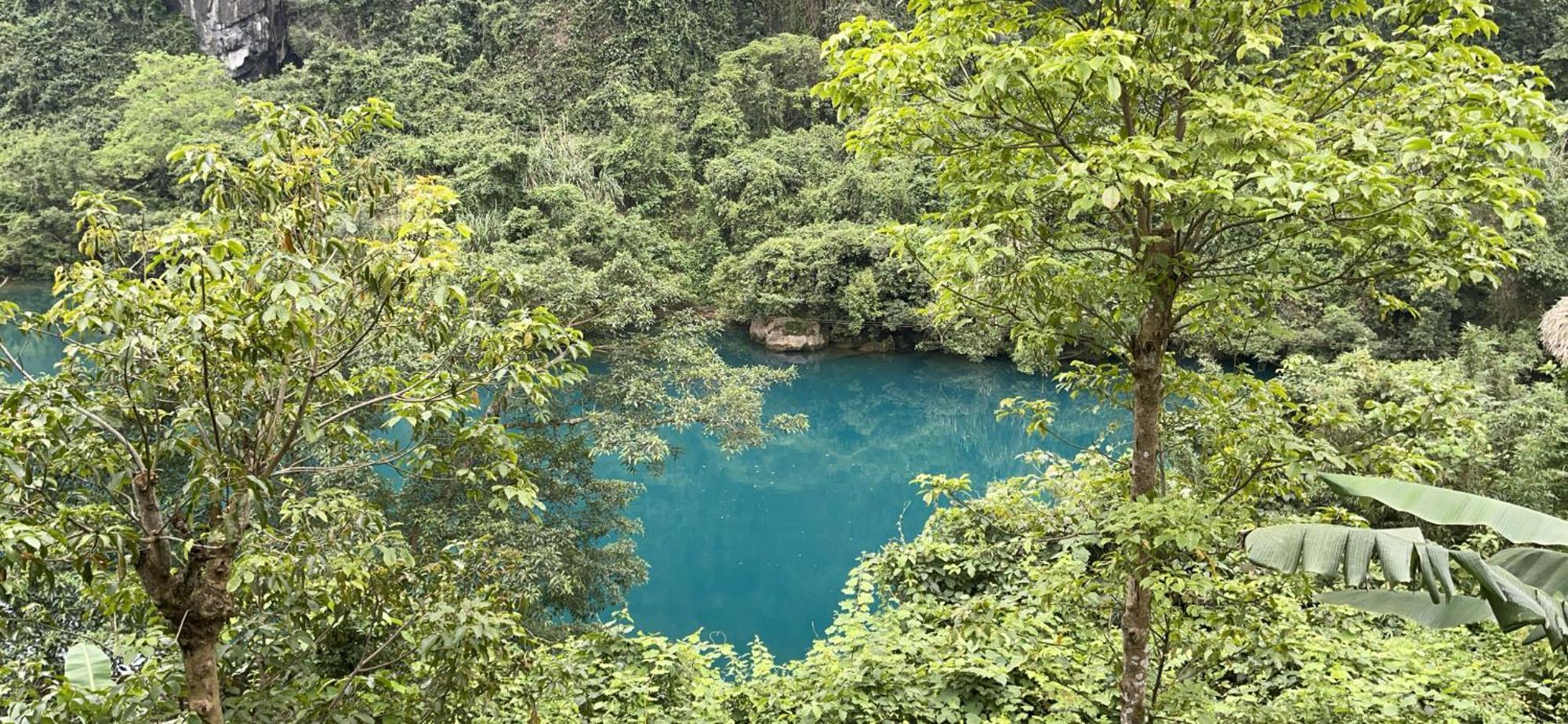Cornflower Homestay Phong Nha Extérieur photo